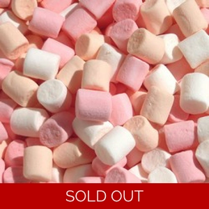 Frisia Mini Marshmallows 1kg bag